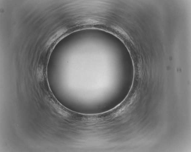 X0000073900873200608111127