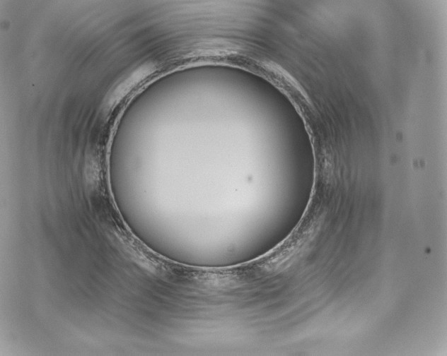 X0000073900874200608111127