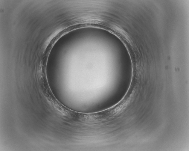 X0000073900875200608111127