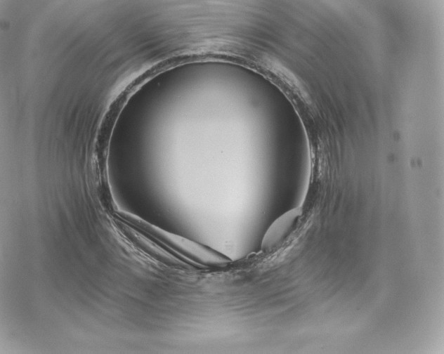 X0000073900876200608111127