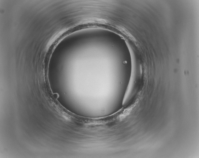 X0000073900877200608111127