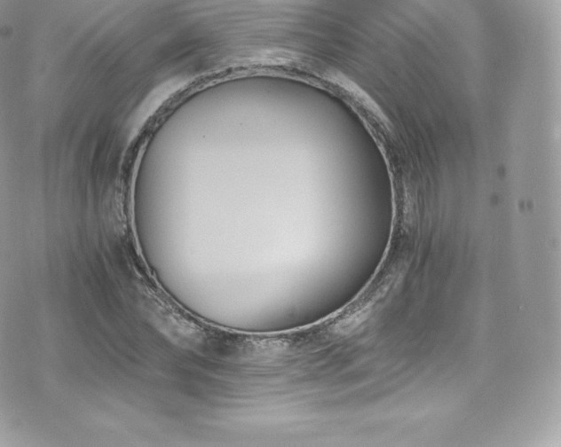 X0000073900878200608111127