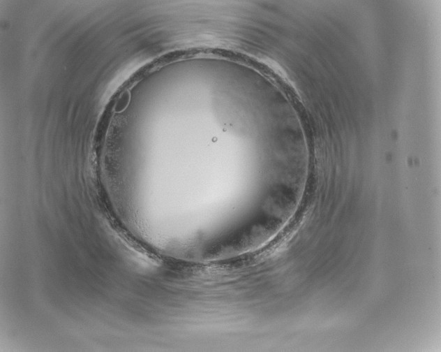 X0000073900879200608111127