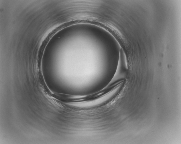 X0000073900880200608111127