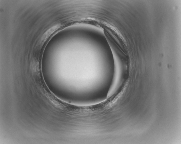 X0000073900881200608111127