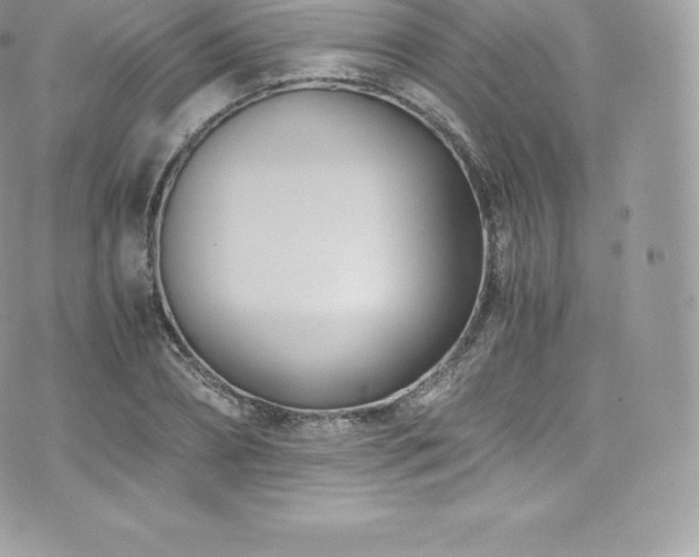 X0000073900882200608111127