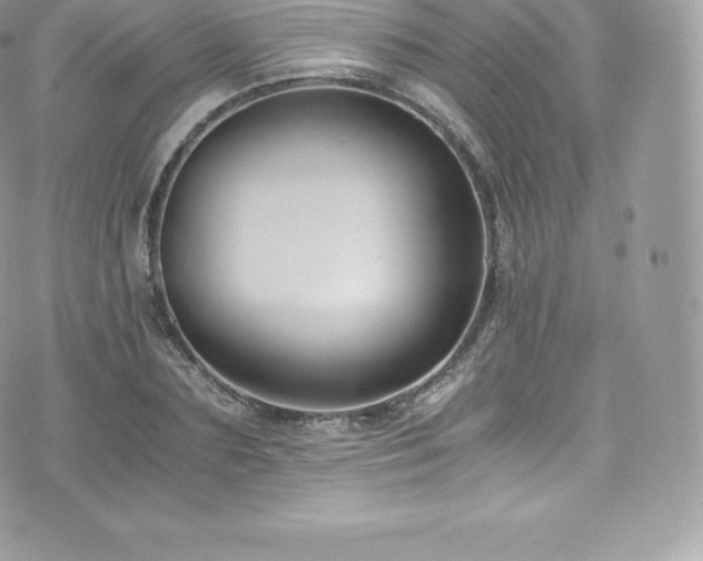 X0000073900883200608111127