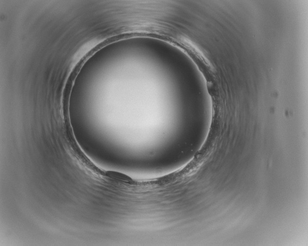 X0000073900884200608111127