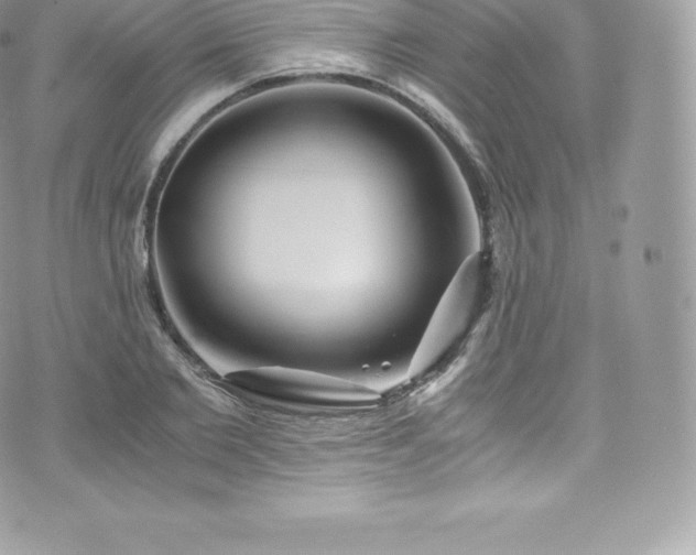 X0000073900885200608111127