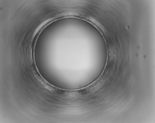 X0000073900886200608111127