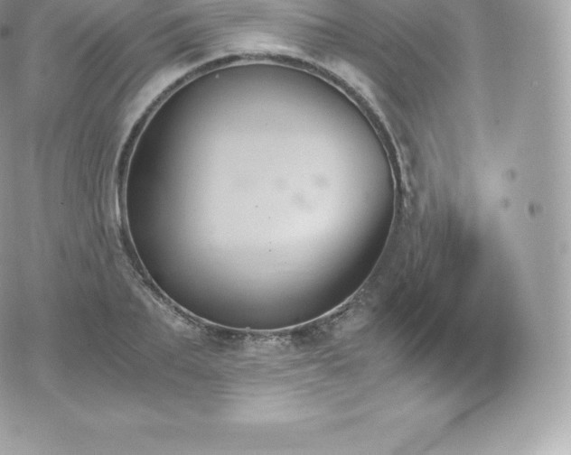 X0000073900887200608111127