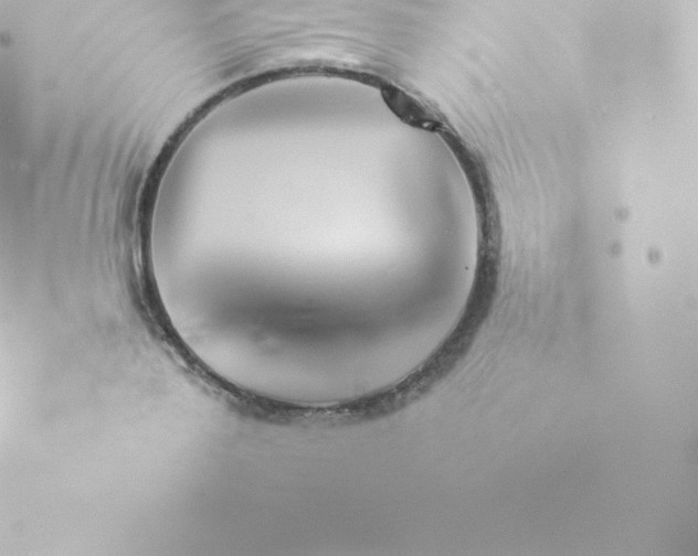 X0000073900888200608111127