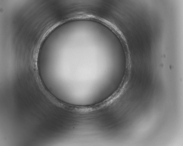 X0000073900889200608111127