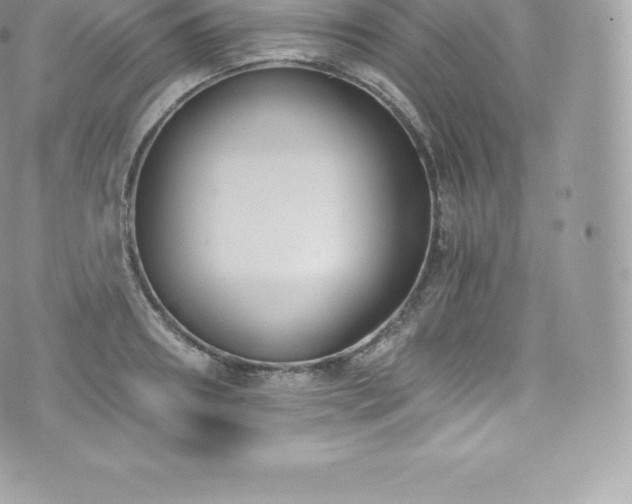 X0000073900890200608111127