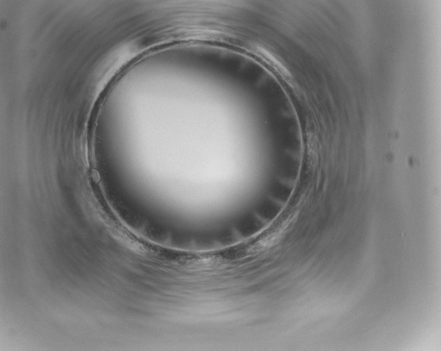 X0000073900891200608111127