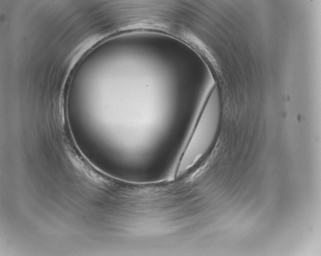 X0000073900892200608111127