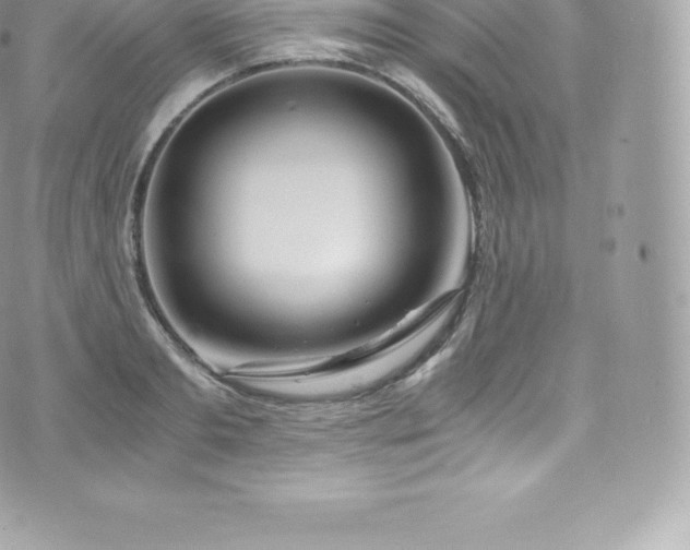 X0000073900893200608111127