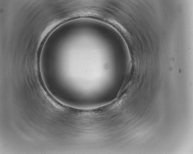 X0000073900894200608111127