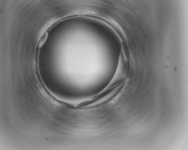 X0000073900896200608111127