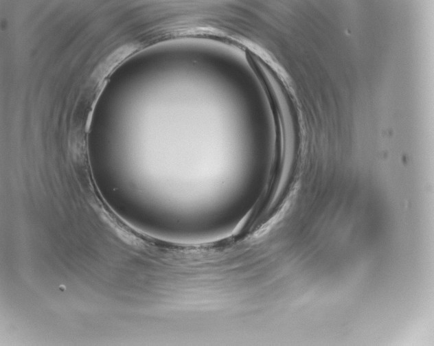 X0000073900897200608111127