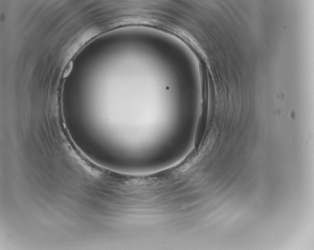 X0000073900898200608111127