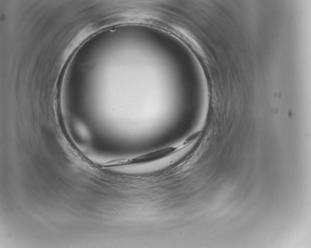 X0000073900899200608111127