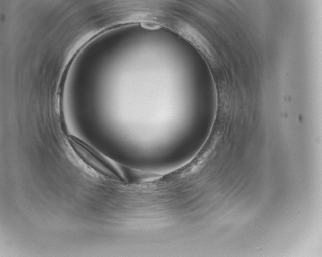 X0000073900900200608111127