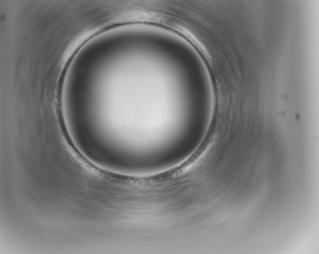 X0000073900901200608111127