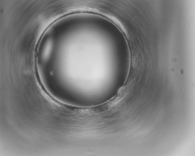 X0000073900903200608111127