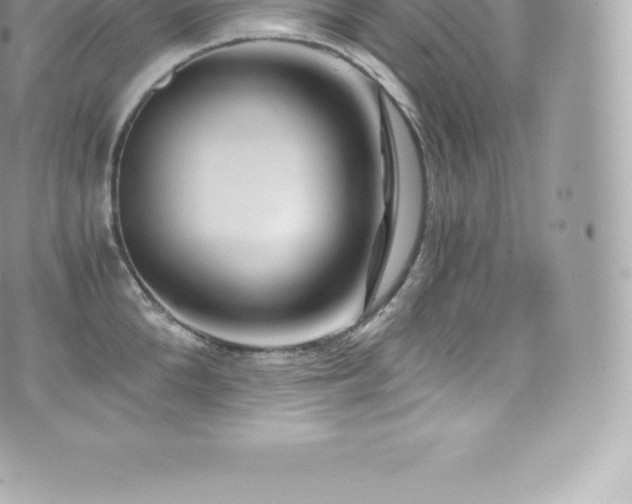 X0000073900904200608111127