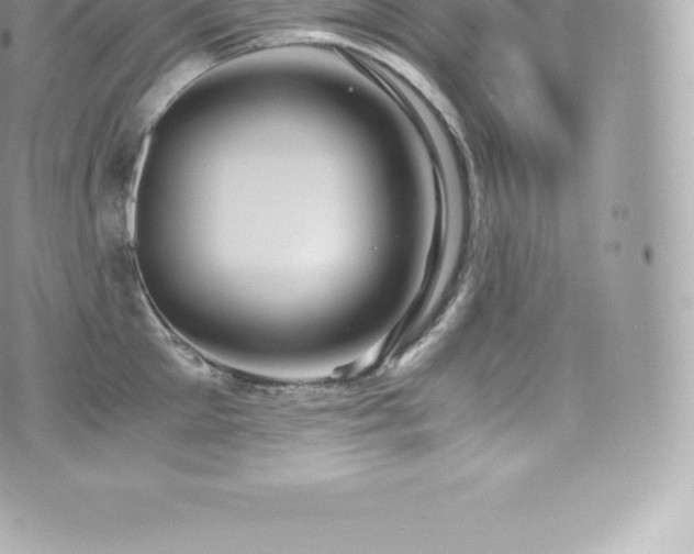 X0000073900905200608111127