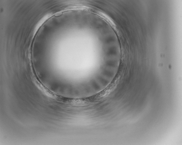 X0000073900907200608111127