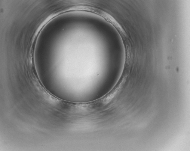 X0000073900908200608111127