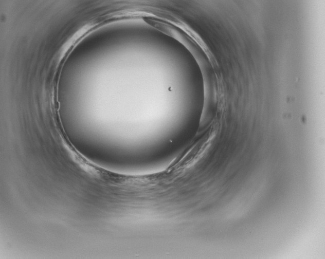 X0000073900909200608111127