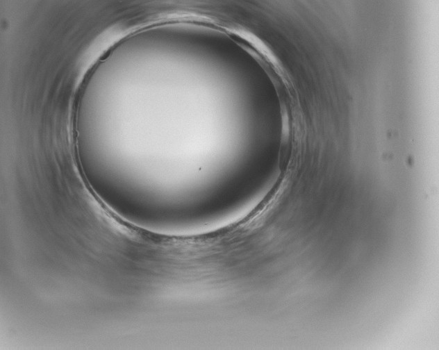 X0000073900910200608111127