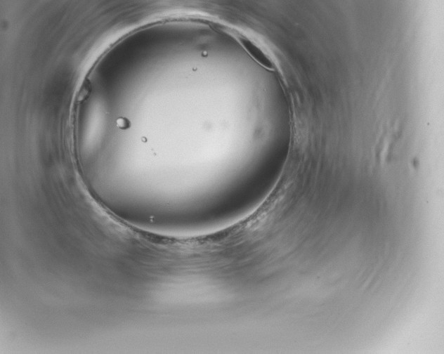 X0000073900911200608111127