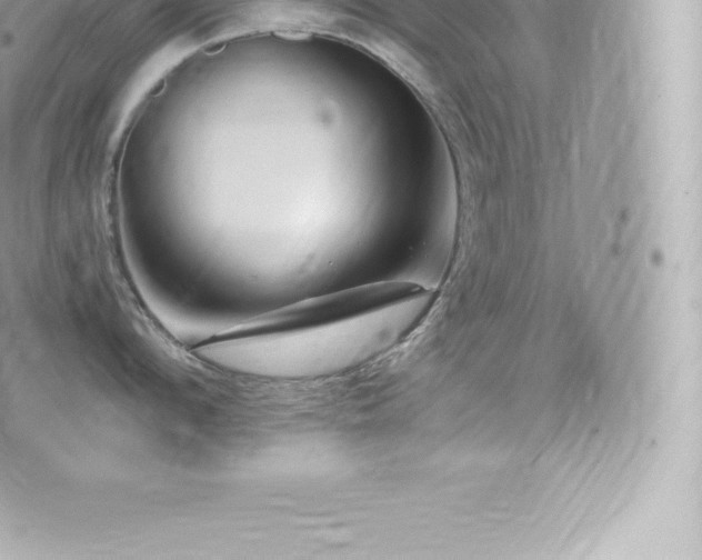 X0000073900912200608111127