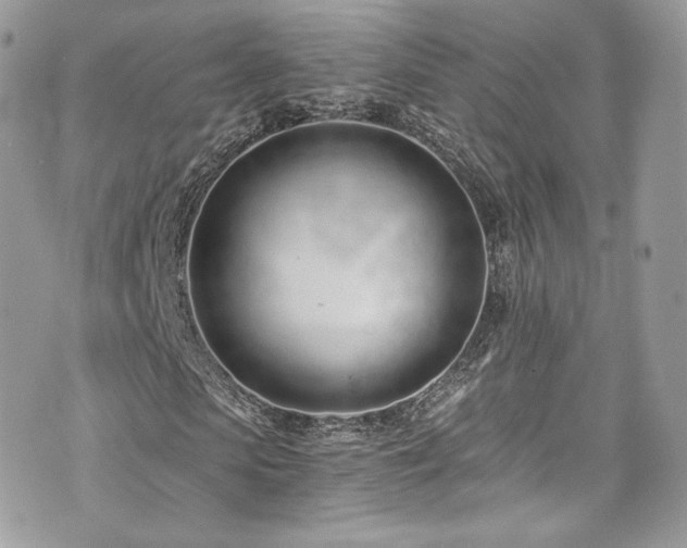 X0000073900913200608111126