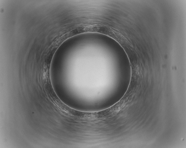 X0000073900914200608111126