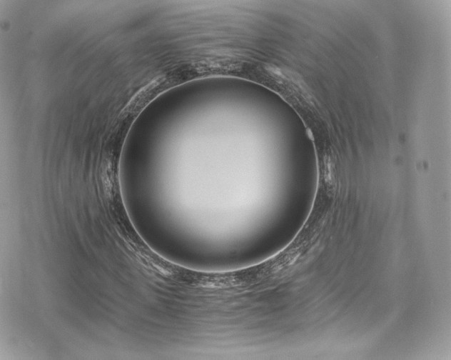 X0000073900915200608111126