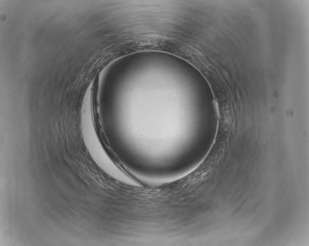 X0000073900916200608111126