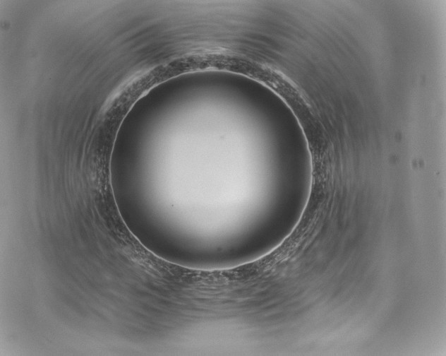 X0000073900919200608111126