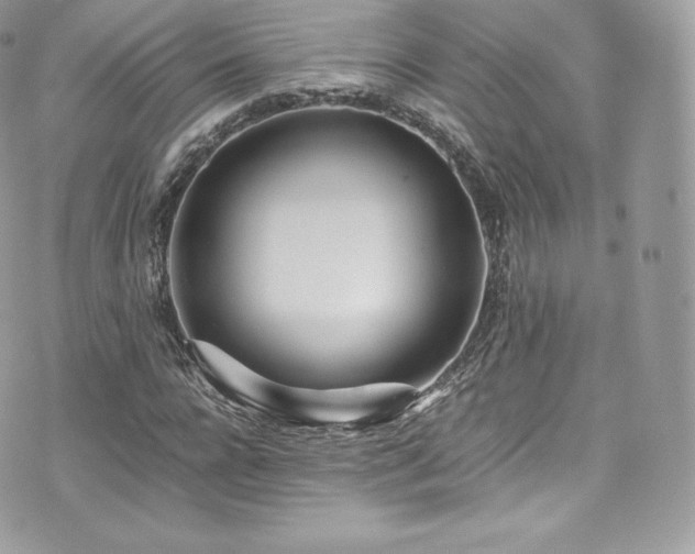 X0000073900920200608111126