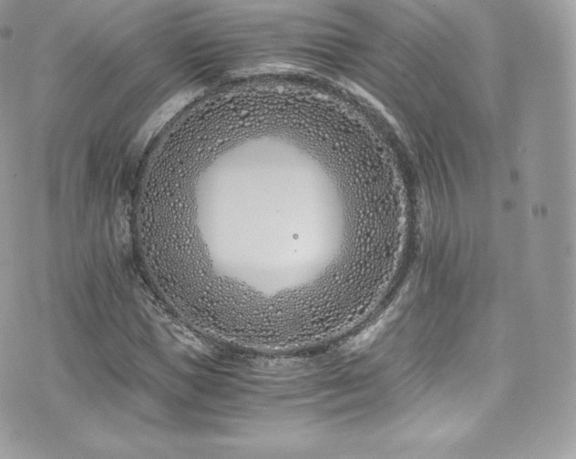 X0000073900921200608111126