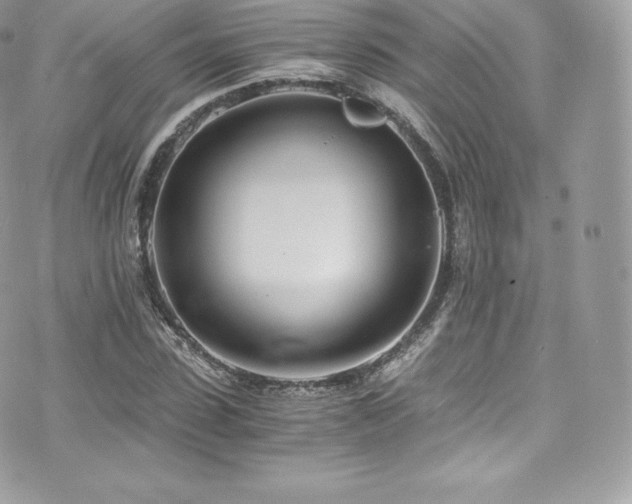 X0000073900923200608111126