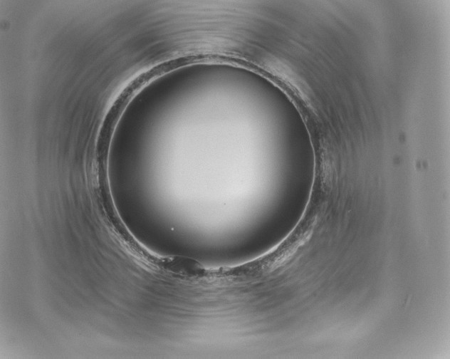 X0000073900924200608111126