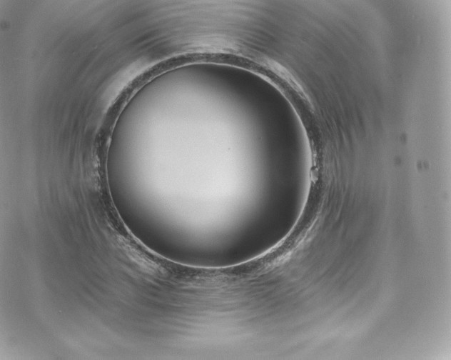 X0000073900926200608111126