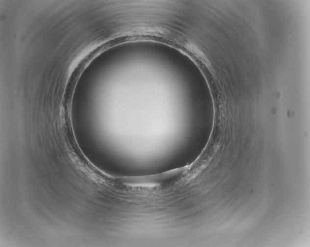 X0000073900928200608111126