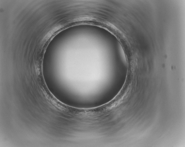 X0000073900929200608111126