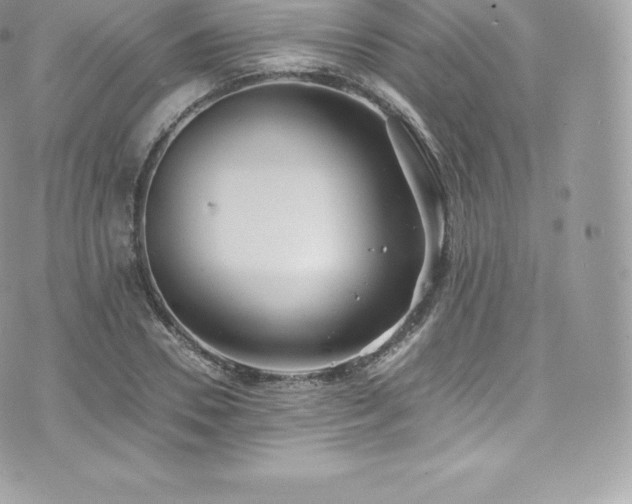 X0000073900930200608111126